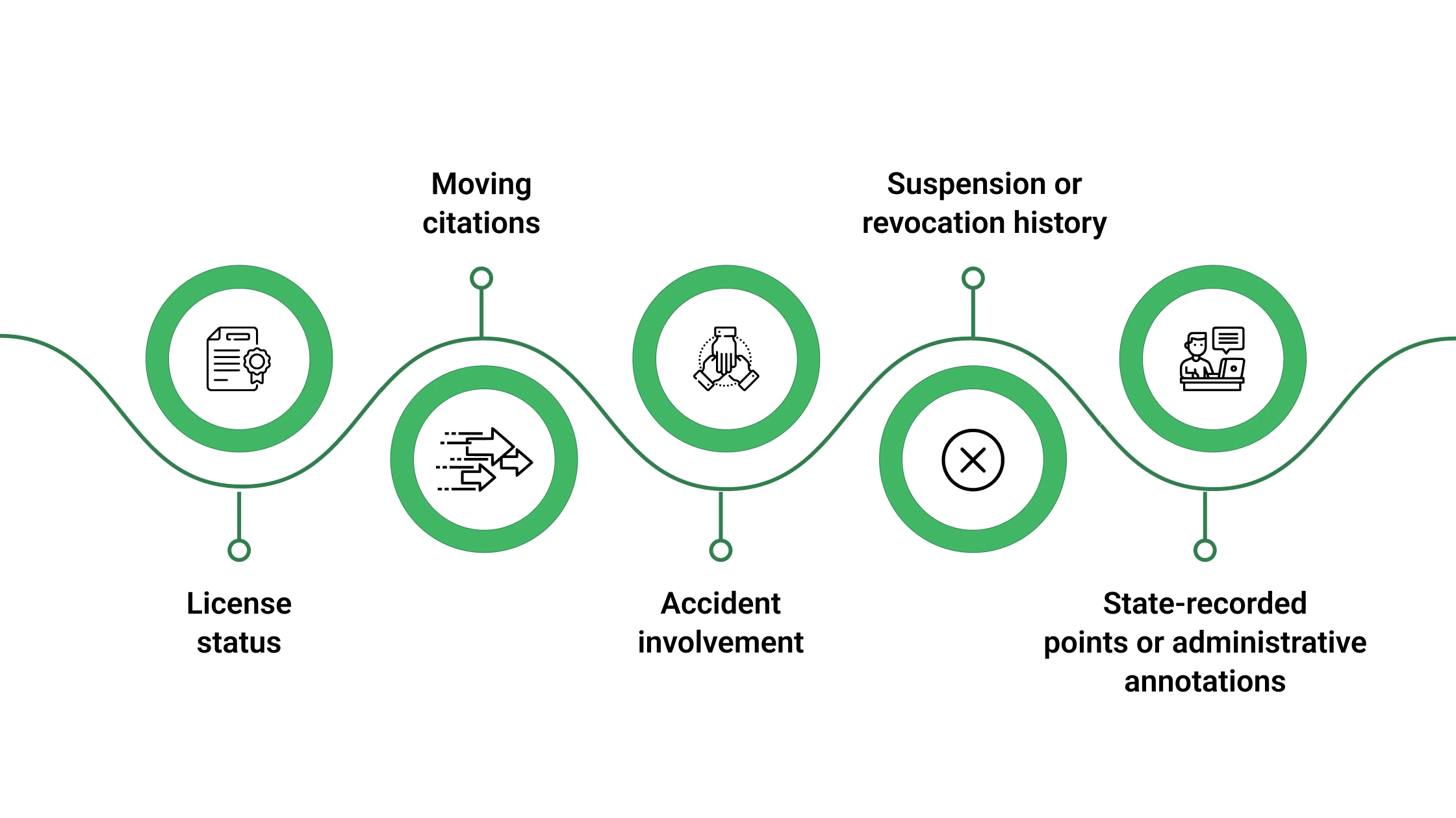 What Does an MVR Check Show